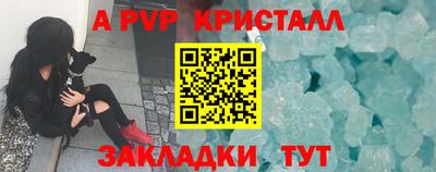 дживик Можга