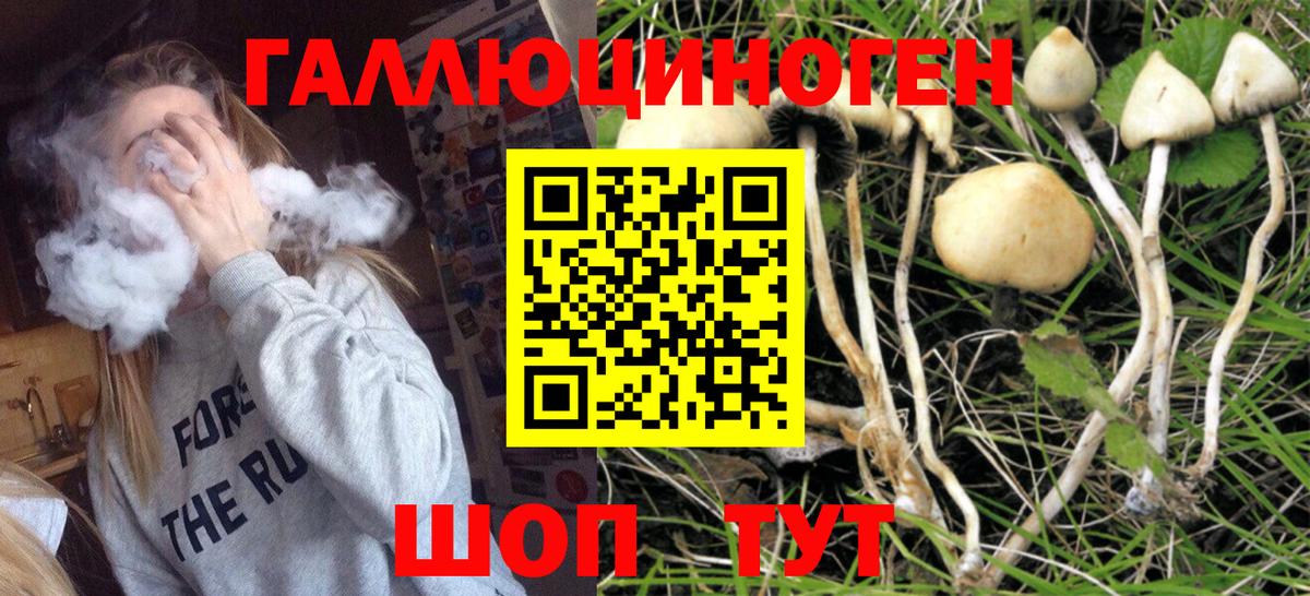 где купить наркоту  Галлюциногенные грибы мицелий  Галлюциногенные грибы мицелий  Вход с VPN  Усолье-Сибирское 
