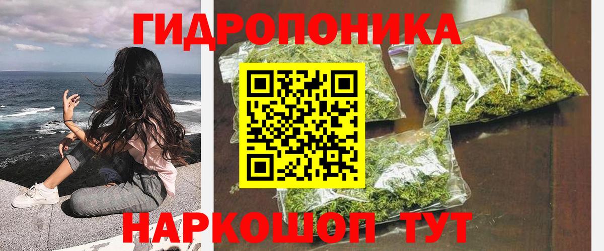 Шишки марихуана планчик  МАРИХУАНА план  Вход с VPN  Бошки Шишки LSD WEED  Усолье-Сибирское  Каннабис гибрид 